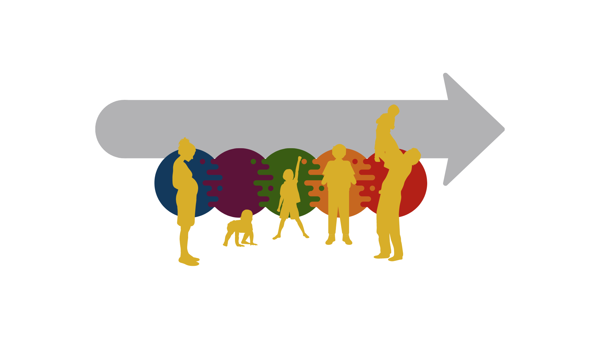 Development timeline